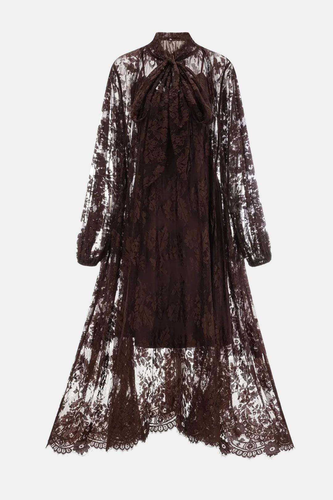 Alessa – Sheer Floral Lace Maxi Dress